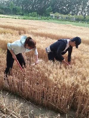 说明:http://www.pyvtc.cn/__local/D/C0/80/69B8E21F2365AEA45419973326D_AF494E8E_1E28F.png