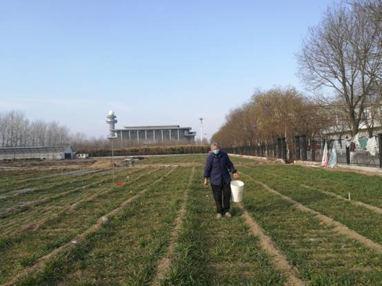 微信图片_20200212144610.jpg