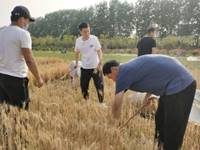 说明:http://www.pyvtc.cn/__local/E/9F/7C/B9431EA28D031E80A443C020579_B7FCB7E2_1FE74.png