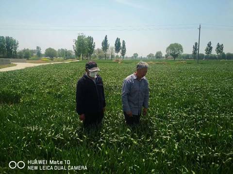 说明:C:\Users\ADMINI~1\AppData\Local\Temp\WeChat Files\95458f64d7cdbb51fd6a571cc909369.jpg