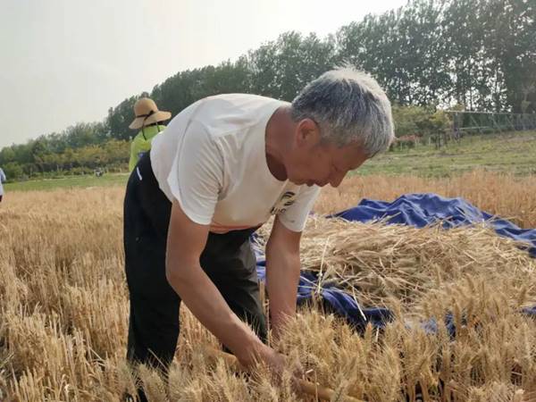 说明:http://www.pyvtc.cn/__local/3/92/5F/5C102F49241EA32BE1BC6EC09C2_14E3ACF9_1F100.png